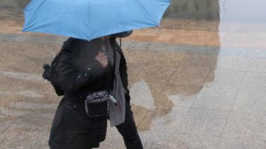 Anuncio de lluvia para este lunes: Dirección Meteorológica dio a conocer las zonas