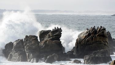Japón da por superada la emergencia y baja la alerta de tsunami tras fuerte terremoto en Rusia