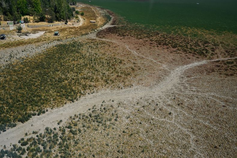 Aculeo_sequia_NicoleKramm_fotoreportaje_Desc 30.jpg