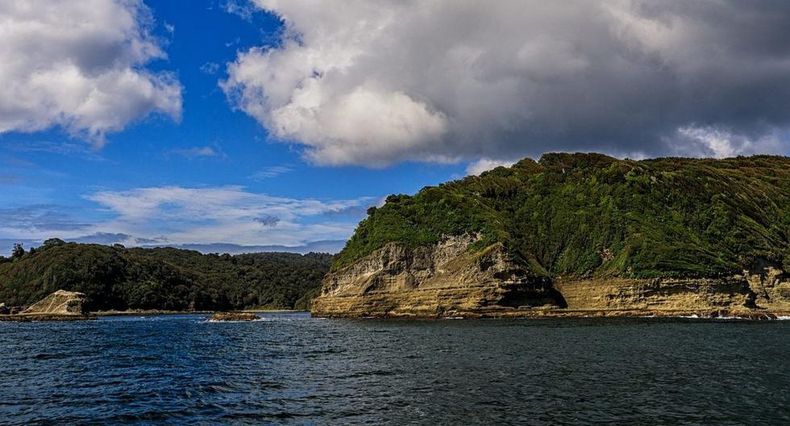 isla guafo.jpg