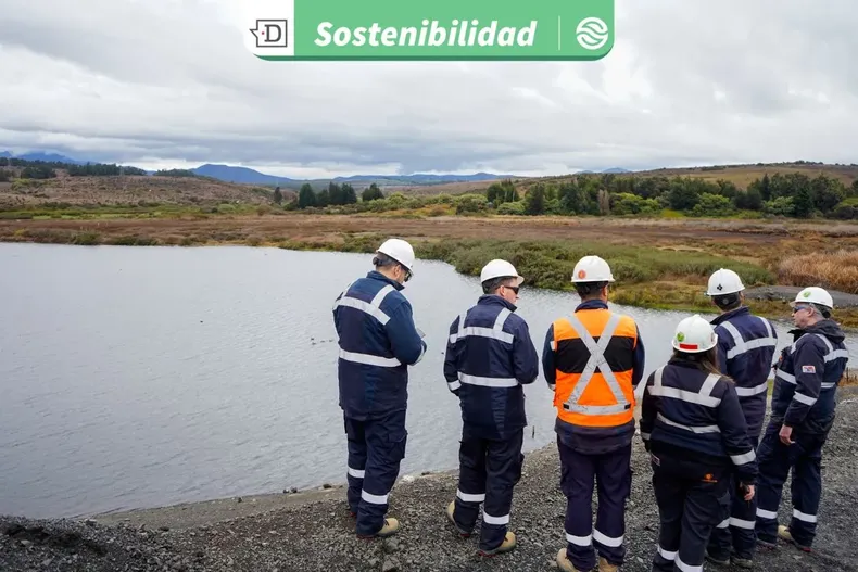 24323 diseno sin titulo 2025 10 17t131802.webp