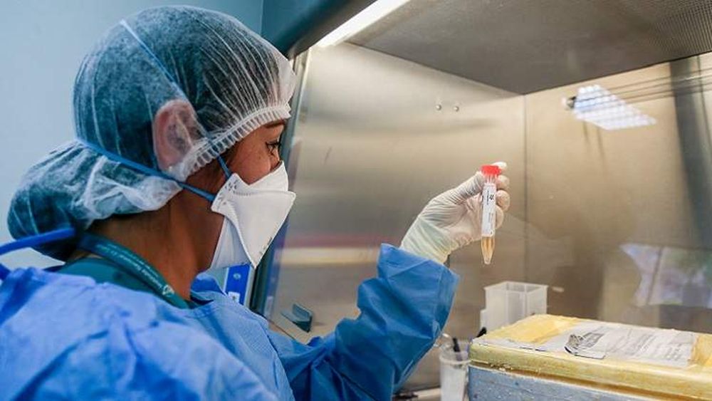 China detecta trazas de coronavirus en envoltorio externo de camarones de Ecuador