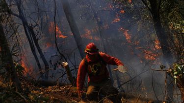 Bachelet: Enfrentamos el peor desastre forestal de nuestra historia