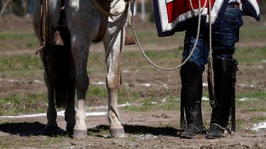 Club Hípico se desentiende de carrera a la chilena en su recinto que terminó con la muerte de tres caballos