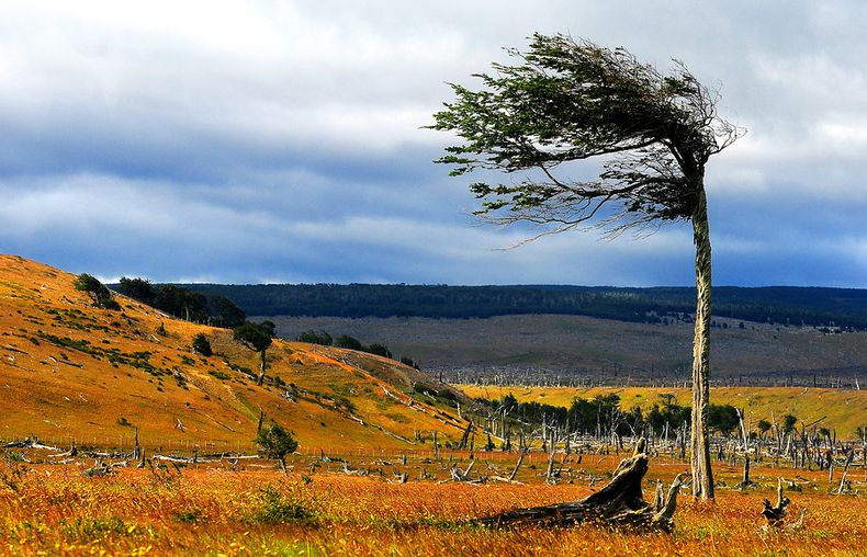 6846 biodiversidad.jpg