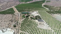 Nueva Constitución: Fin a la mercantilización del agua
