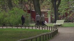 VIDEO| ¿Y si lo hacen en Chile? La repugnante forma con que Suecia evita que personas se expongan al COVID-19