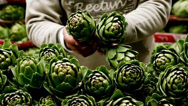 Mercado de las alcachofas se vería afectado - Agencia EFE