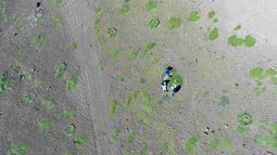 Drones e imágenes satelitales para perseguir delitos ambientales.&nbsp;