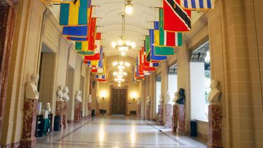 Coaliciones de organizaciones sociales presentan peticiones a Asamblea General de la OEA