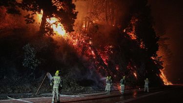 Incendios forestales: Persona detenida asegura haber estado haciendo “encuentro espiritual”