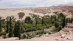 Atacameños de Toconao reciben primeros derechos de agua en Chile que no son para consumir sino para dejar en la naturaleza