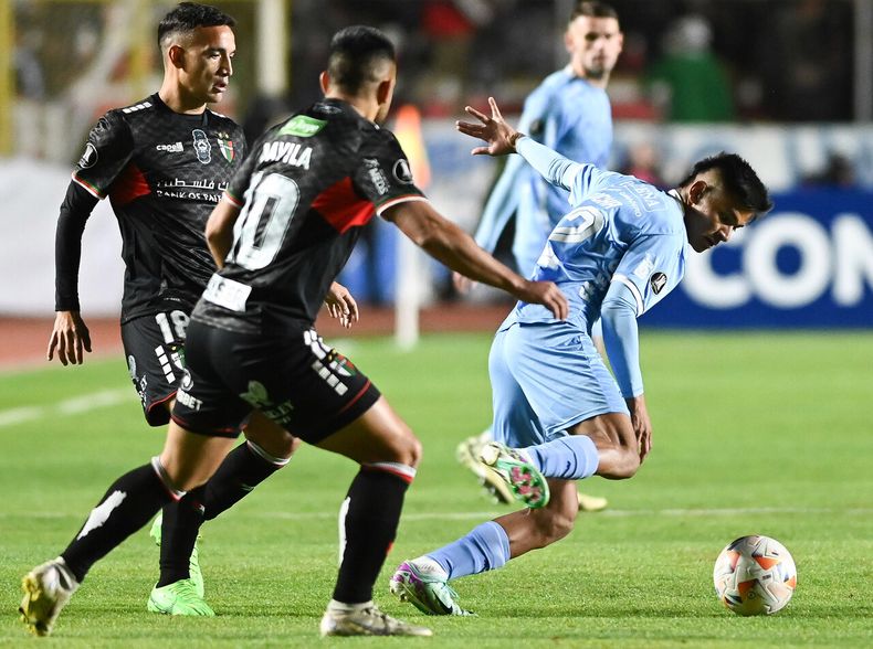 Palestino 3.jpg