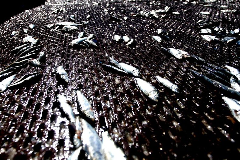 8738 a uno 497557.jpg