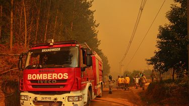 Sondeo: Bomberos se imponen en valoración y confianza en la PDI se desploma