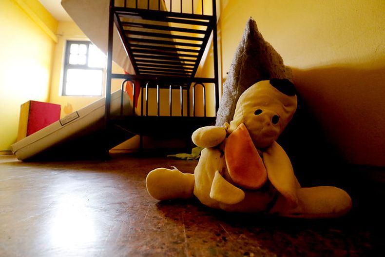 adopciones.jpg