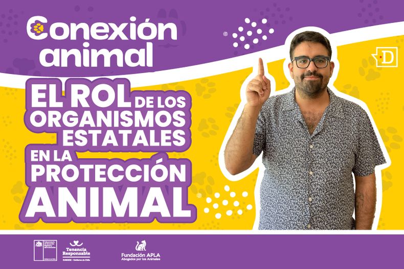 El rol 900x600 1.jpg