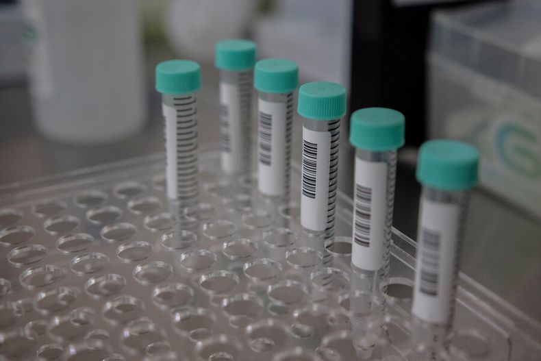 medico defraudo con 46 millones a instituciones publicas  corte ordeno extradicion desde ee.uu..jpg