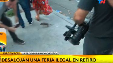 VIDEO| Ratón provoca gritos de terror en punto de prensa, pero tuvo triste final