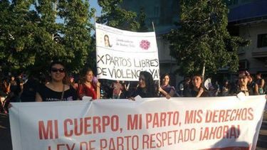 Ley Trinidad: Ingresan en la Cámara de Diputados el proyecto que promueve el parto respetado
