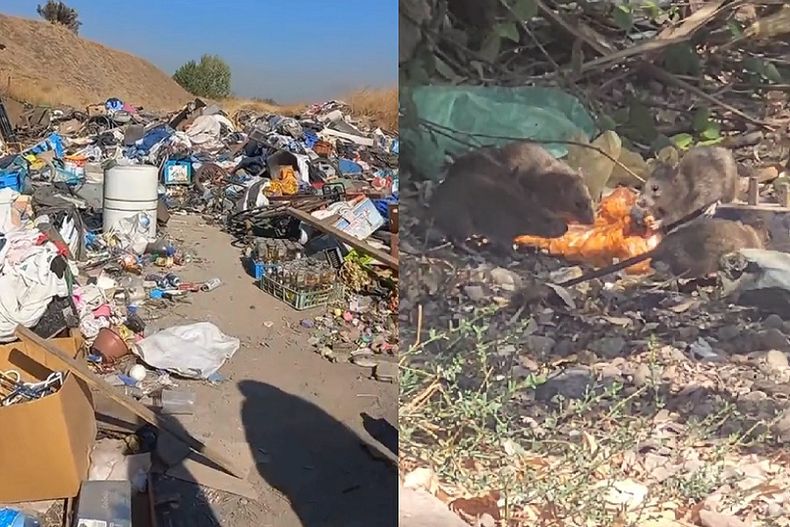basural huechuraba.jpg