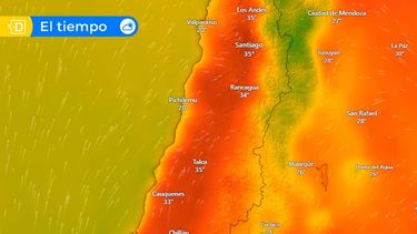 Navidad con altísimas temperaturas y riesgos de incendios: Lanzan preocupante pronóstico