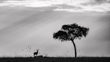 Kichwa Ngumu: La muestra fotográfica que captura la porfía en los paisajes de Kenia como arma de resistencia