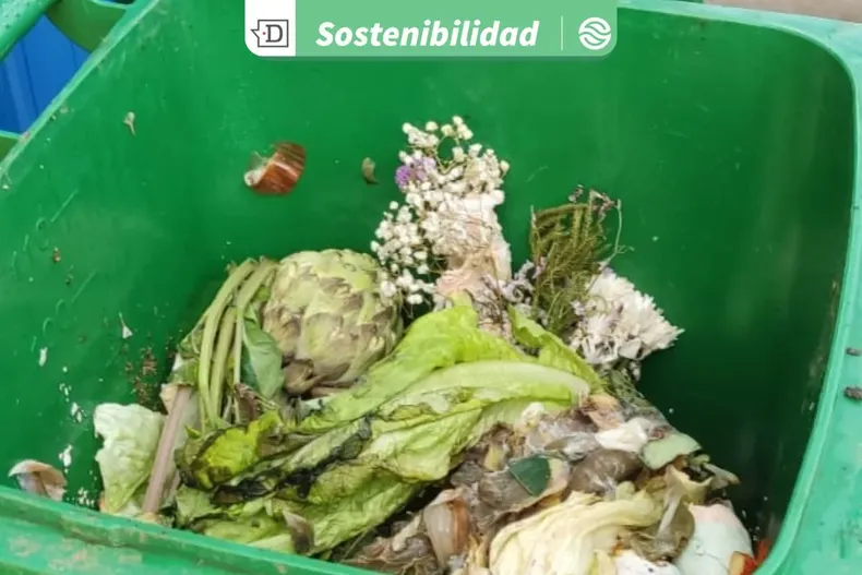 23330 diseno sin titulo 2025 09 29t155739.webp