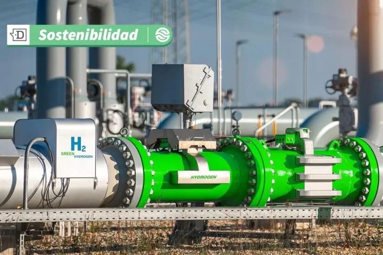 17452 diseno sin titulo 2025 06 13t180444.webp