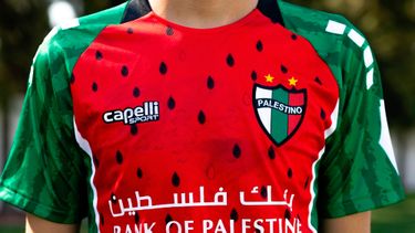 El Desconcierto | 22480 palestino.jpg