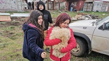 Perrito que salió volando con el tornado en Los Ángeles volvió a su casa