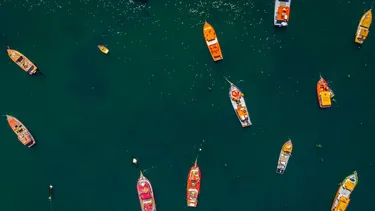 Aprueban subastas pesqueras con reserva del 50% para el sector artesanal y Bobadilla (UDI) condiciona al Ejecutivo