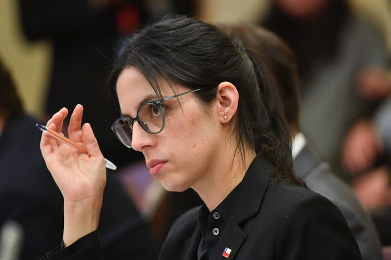 Ministra de Medio Ambiente, Francisca Toledo.&nbsp;