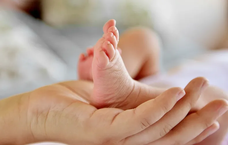 11454 recien nacido.webp