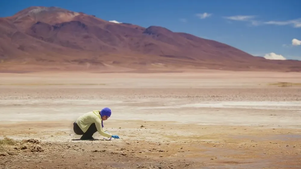 Salares pasan de minería a medicina: Documental muestra cómo nos pueden salvar de la crisis de resistencia a antibióticos