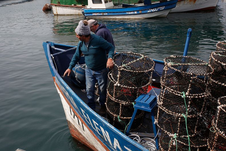 4437 pesca artesanal 4.jpg