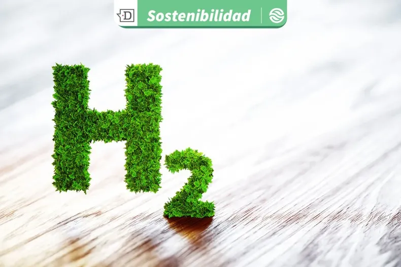 20376 diseno sin titulo 2025 08 06t155320.webp