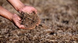 Escasez de agua: Walker no descarta decretar zona de emergencia agrícola en más regiones de Chile