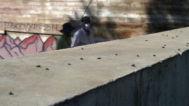 Alcaldesa de Melipilla denuncia plaga de moscas y malos olores debido a empresa