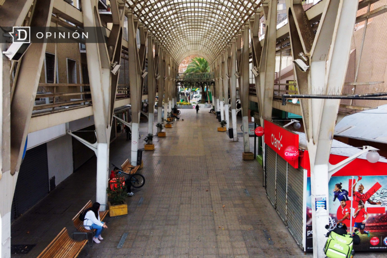 Paseo las Palmas e1713990899117.png