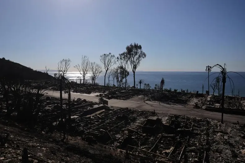 10141 angeles incendio.webp