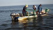 pesca artesanal acusa a gobierno de kast de legitimar la corrupcion tras retirar nueva ley de pesca