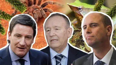 Contra ranita de Darwin, araucarias y araña pollito: la defensa del gobierno a la motosierra ambiental sin sustento en los hechos