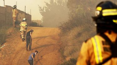 Revisa los registros del primer gran incendio forestal de la temporada en Valparaíso