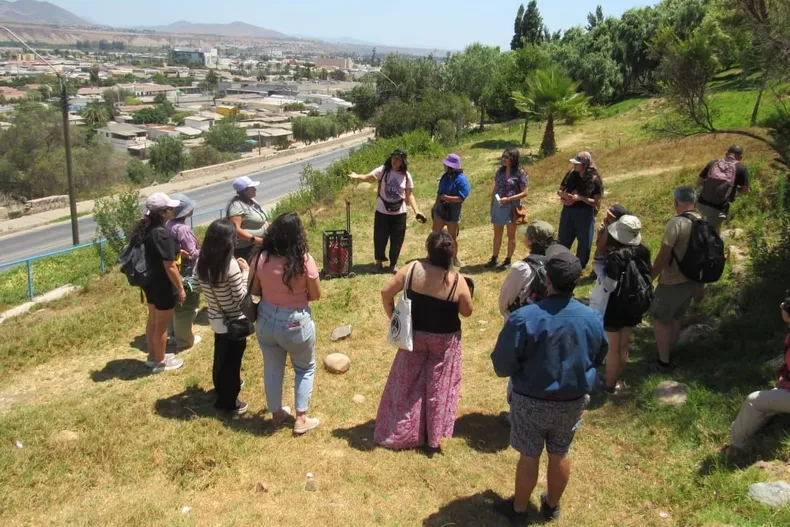 26662 whatsapp image 2025 11 28 at 1644.webp