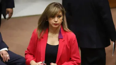 El Desconcierto | 10271 senadora loreto carvajal ppd.webp