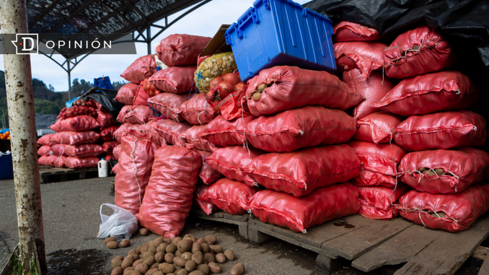 Desafíos en la crisis de la papa: Precios al alza y la sombra de colusión