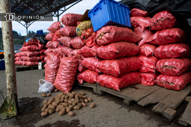 Papas e1693407587857.png