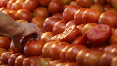 IPC de septiembre sube 0,5% en el mes de la patria: Tomates, pan y transportes en bus tuvieron alzas