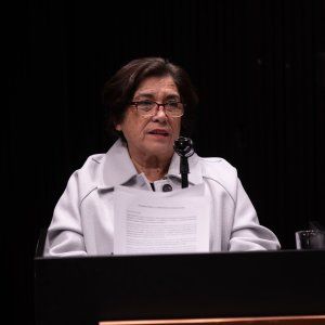 El Desconcierto | Luz Eliana Cisternas Lara